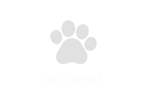 Canideos